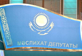 Мәслихат депутаттарының сайлаушылар алдындағы есебі көбіне формальді түрде өтеді - Тоқаев