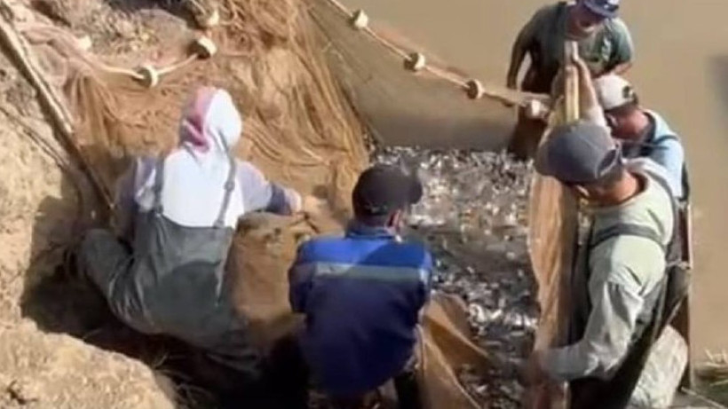  Видеодан кадр 