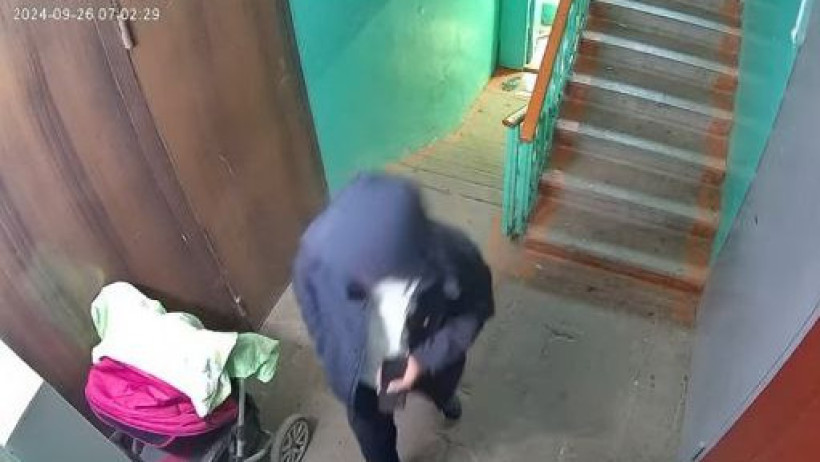  Видеодан кадр 