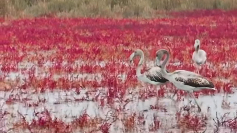  instagram.com/azamat_sarsenbayev 