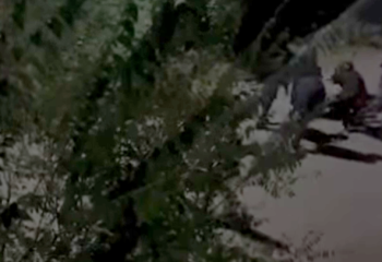 В результате ночной драки в Талгаре скончался парень