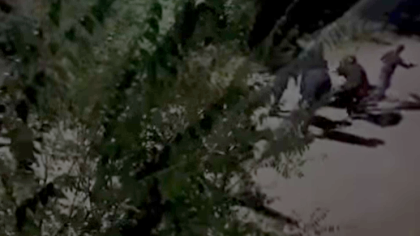  Кадр из видео 