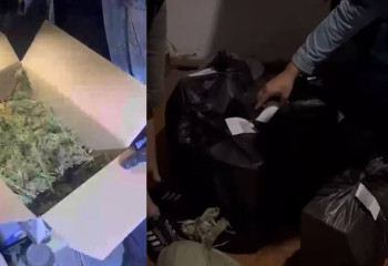 Полиция изъяла более 4 кг наркотиков у иностранца в Акмолинской области