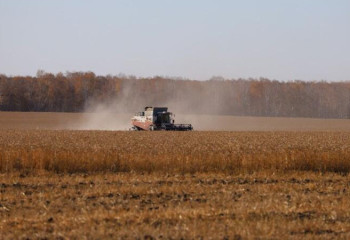5,6 млн тонн зерна намолочено в Акмолинской области