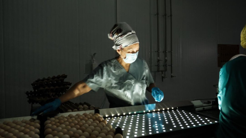  Ауыл шаруашылығы министрлігі 