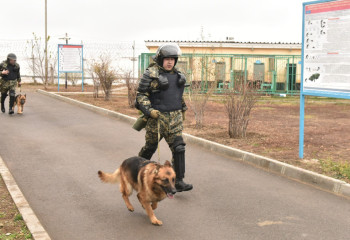 Как служат собаки в Нацгвардии МВД РК: четвероногие помощники помогли раскрыть 44 преступления