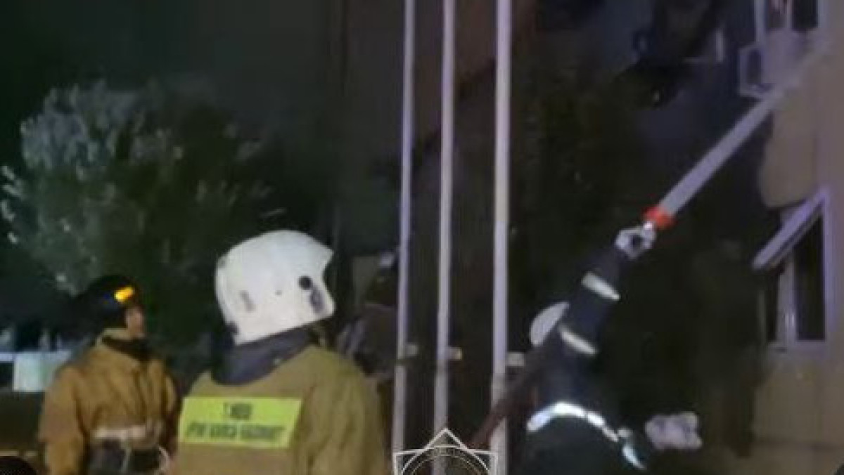  Видеодан кадр 