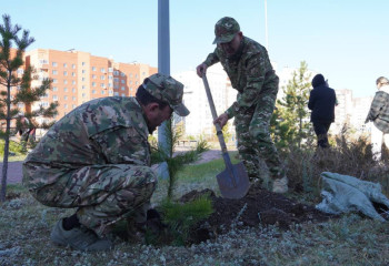 Ақмолалық құтқарушылар 100 ағаш отырғызды
