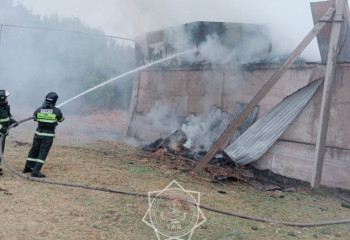 Хозяйственная постройка с сеном загорелась в Туркестанской области