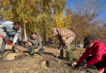 Қостанай гарнизонында тағы 30 қарағай отырғызылды