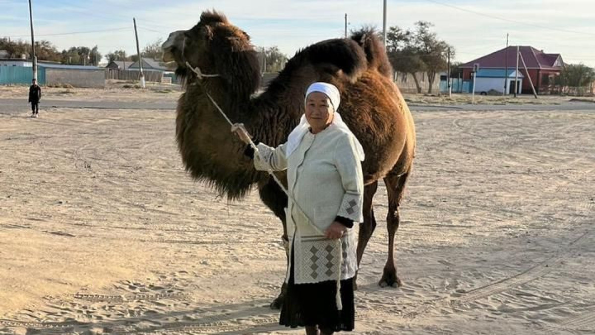  © РСК Кызылординской области 