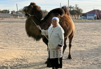 Отгоняющая верблюдов пенсионерка проголосовала в Кызылординской области