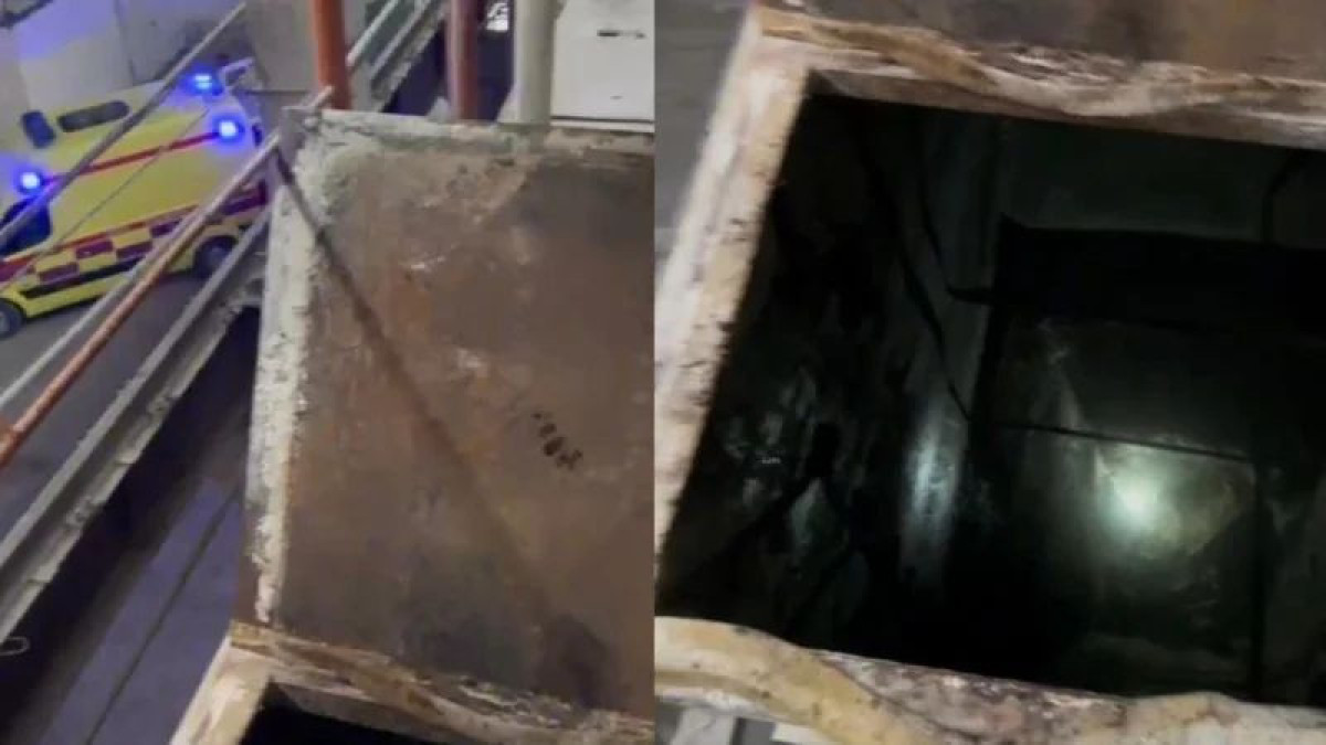  instagram.com/iagorodkz 