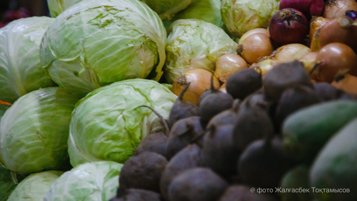  El.kz/Жалгасбек Токтамысов 