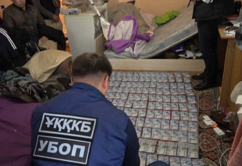 Шығыс Қазақстан облысында алаяқ риелторлар ұсталды - ІІМ