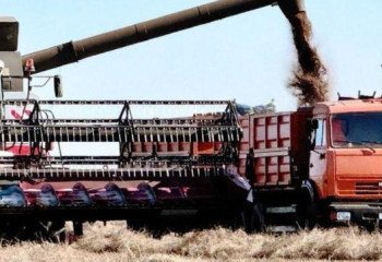 Қазақстанда 24 млн тоннадан астам астық бастырылды