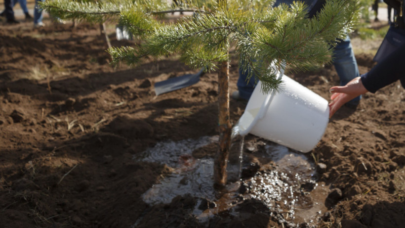  ©El.kz/Артем ЧУРСИНОВ 