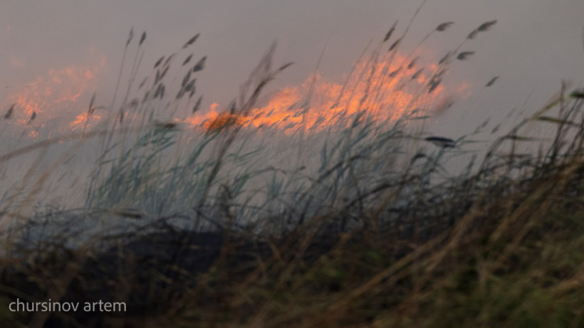  © El.kz/Артем ЧУРСИНОВ 