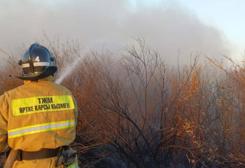 Ақмолада бір күнде 6 ауданда дала өрті тіркелді
