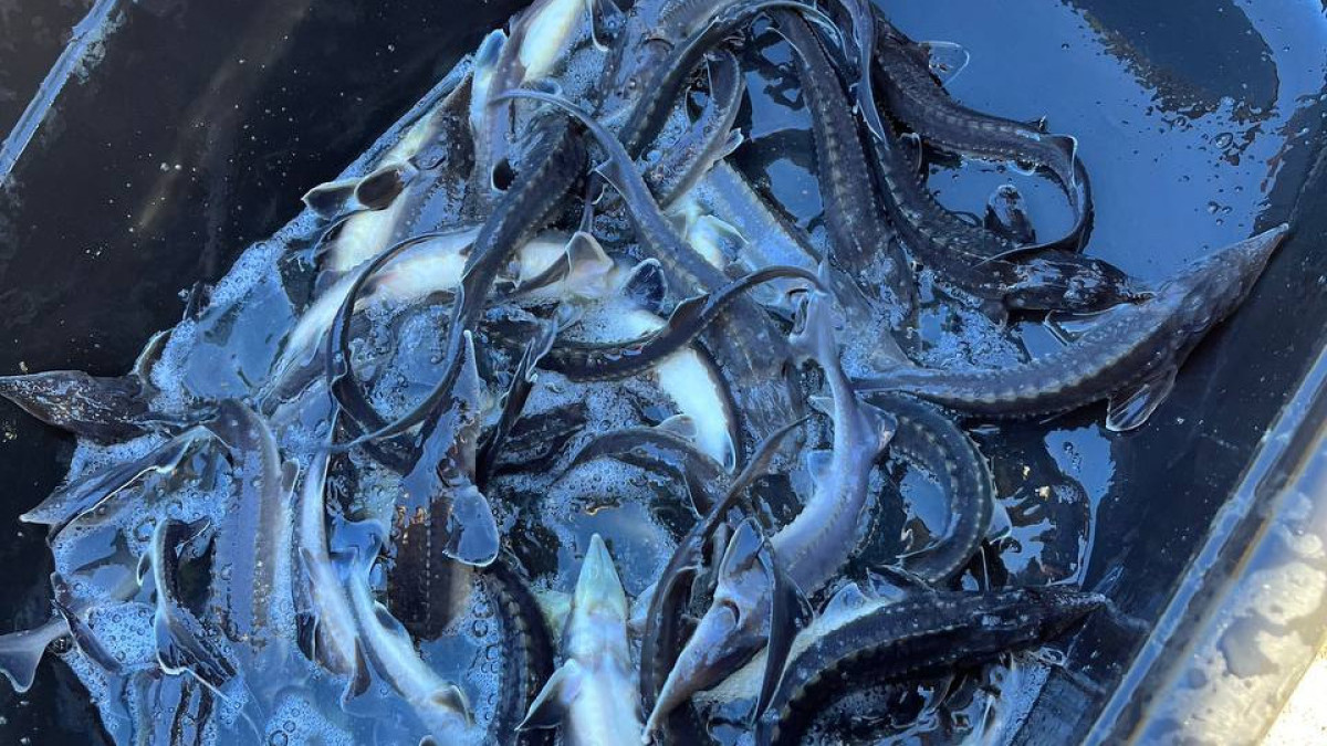  Абай облысы әкімдігі 