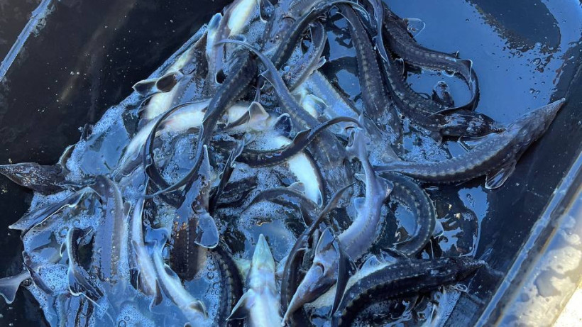  Абай облысы әкімдігі 