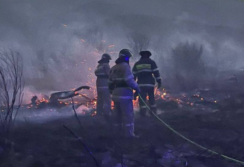 Природный пожар на приграничной территории Карагандинской и Павлодарской областей ликвидирован