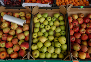 Kazakhstan introduces ban on import of apples