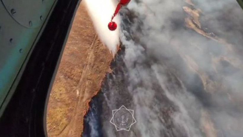  Видеодан кадр 