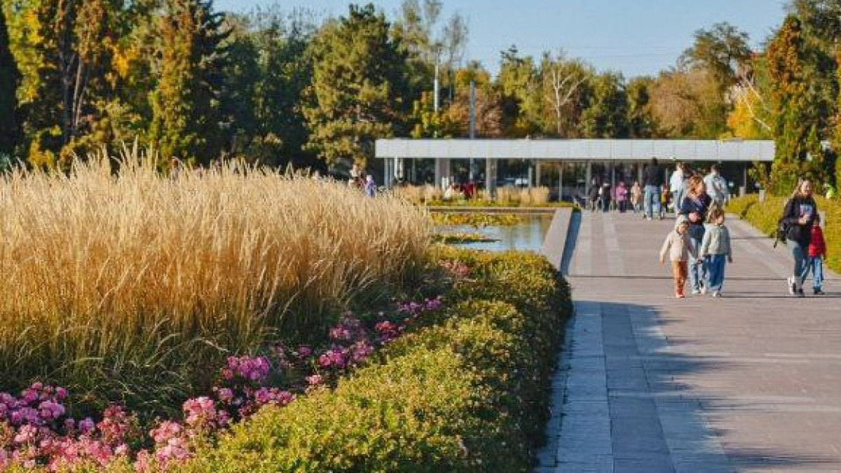  instagram.com/botsadkz 