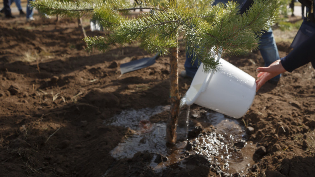  ©El.kz/Артем ЧУРСИНОВ 