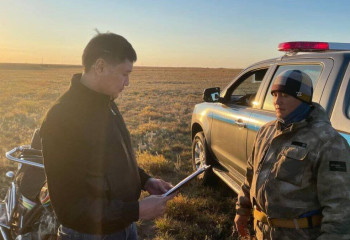 Профилактику скотокрадства проводят в Павлодарской области