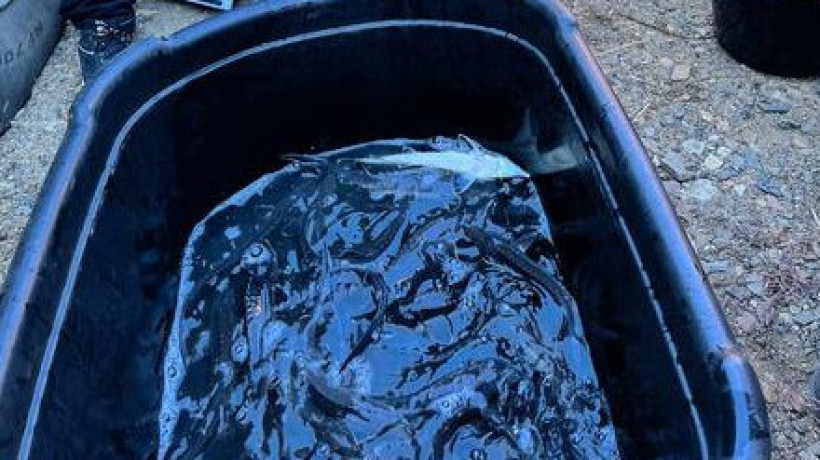  © акимат области Абай 