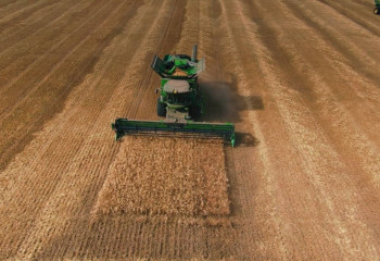 Рекордный урожай собрали аграрии Акмолинской области