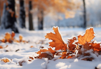 Алдағы күндері қарлы боран, көктайғақ күтіледі