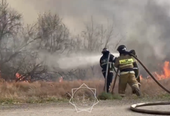 В Актюбинской области горела камышитовая растительность вдоль реки Сазда