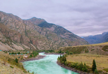 Жетісу облысында 221 гектар жер мемлекет қорына қайтарылды