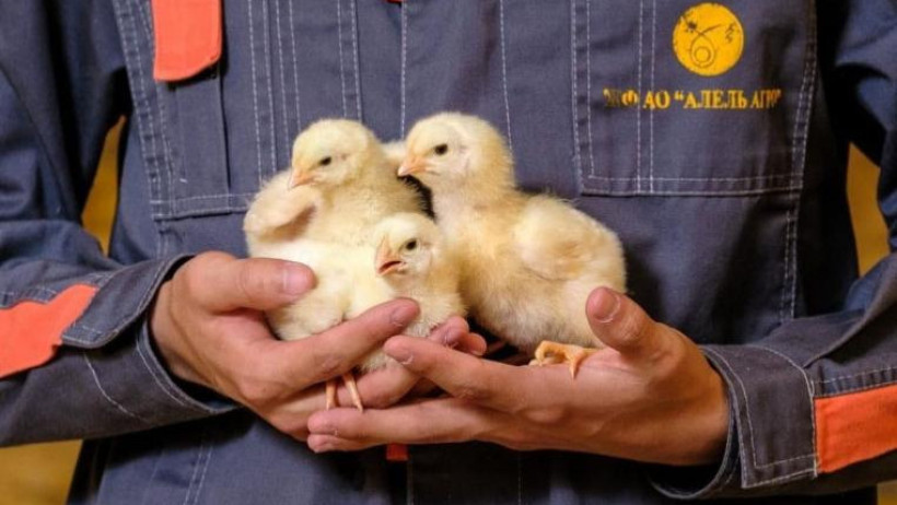  © акимат Жамбылской области 