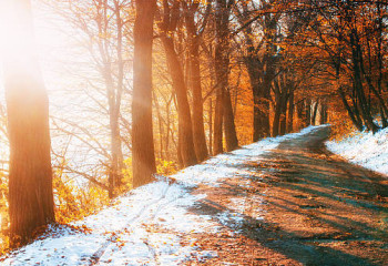 Синоптиктер 11 қазандағы ауа райын болжамын ұсынды