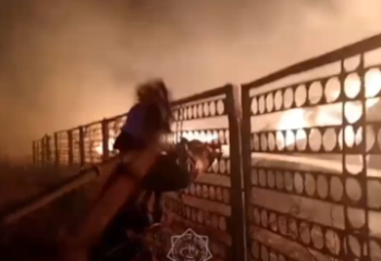 Қостандай облысында 600 тонна шөп өртенді