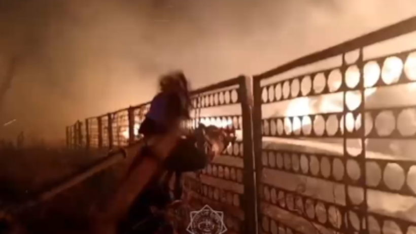  видеодан алынған кадр 