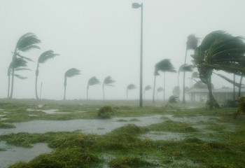 «Милтон» дауылы: Отандасымыз  АҚШ-тағы жағдай туралы айтты