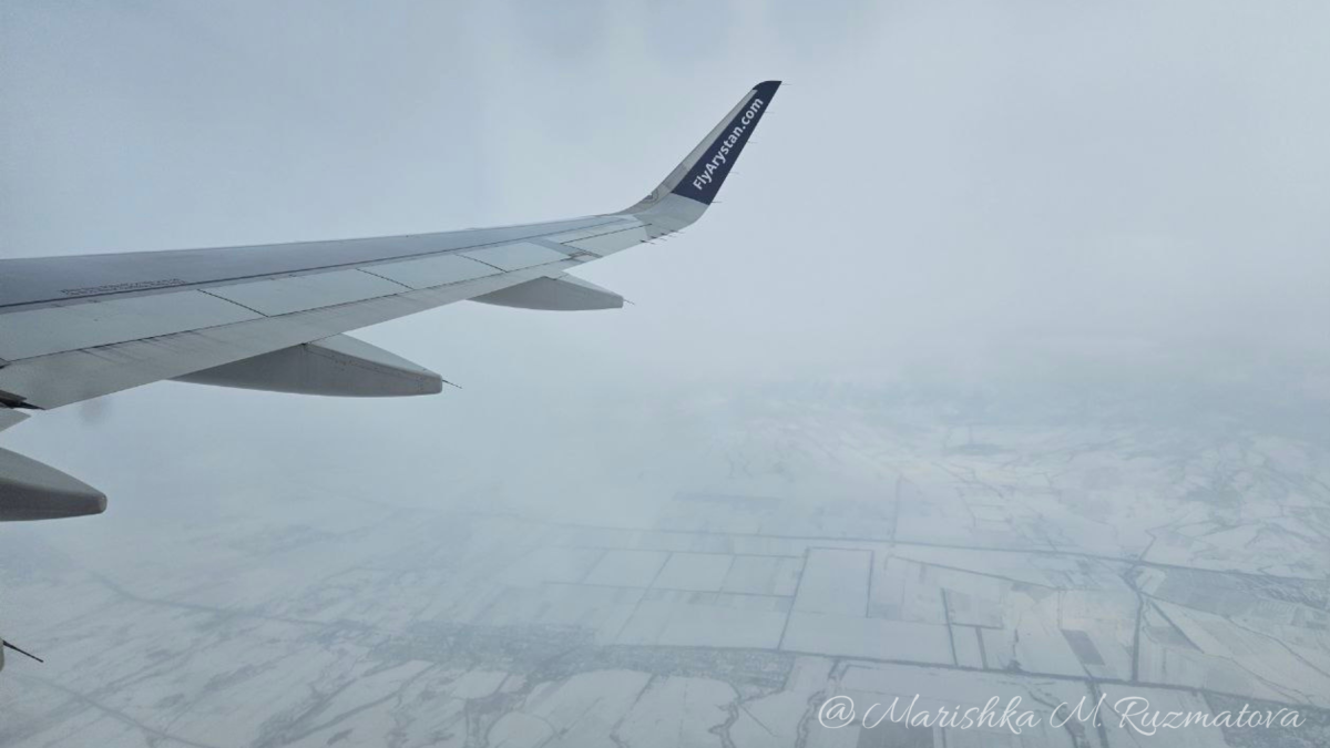  ©El.kz/Marina Ruzmatova /ChatGPT 