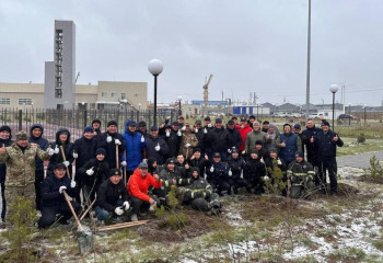 ТЖМ қызметкерлері қылқан жапырақты ағаштар отырғызды