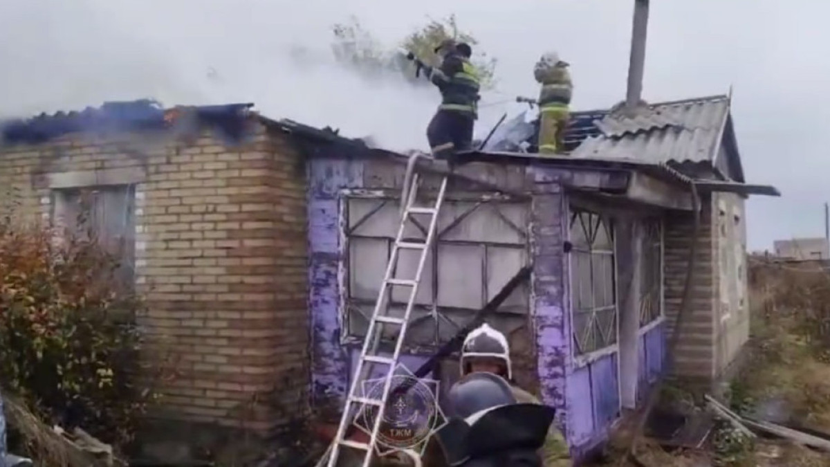  Видеодан кадр 