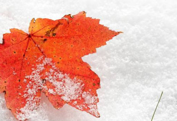 Еліміздің 11 өңірінде дауылды ескерту жарияланды