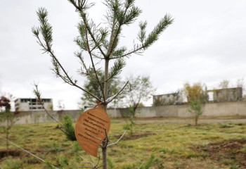 ДЧС Алматы провели тимбилдинг, озеленив пожарную часть