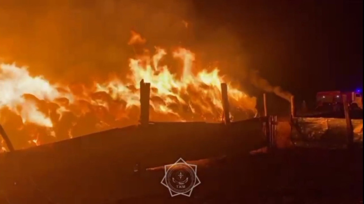  Кадр из видео 