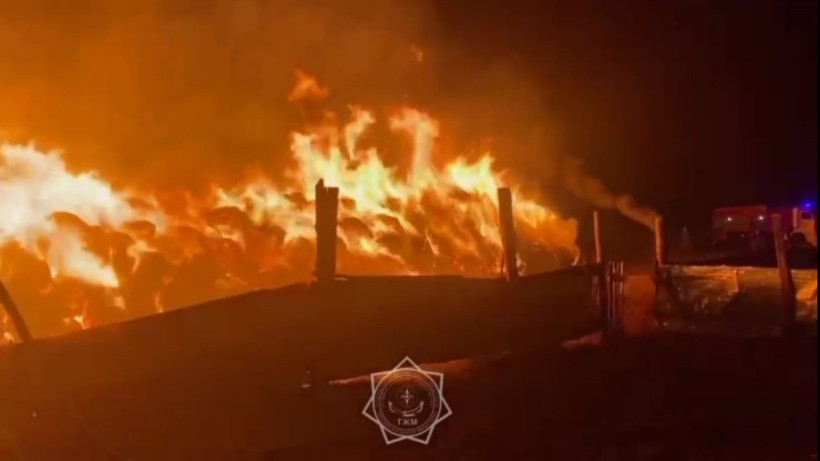  Кадр из видео 