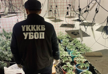 На чердаке дачного домика мужчина соорудил фитолабораторию в ЗКО