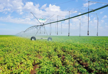 Поливной сезон завершен в Казахстане: аграриям подали около 11,2 млрд кубометров воды